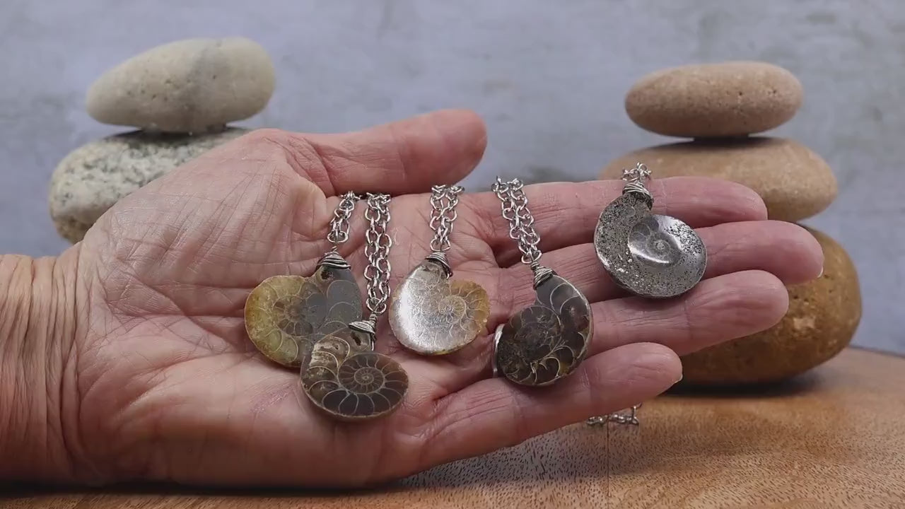 Ammonite Fossil Necklace