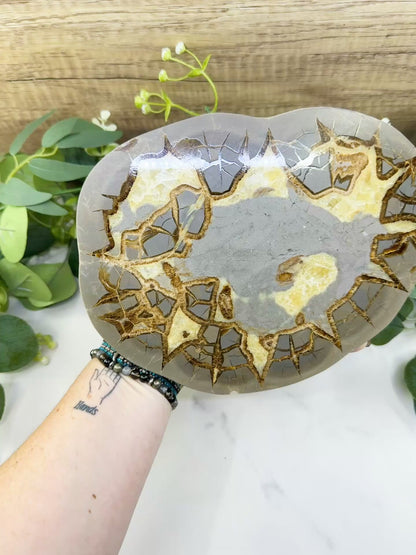 Utah Septarian "Dragon Stone" Geode Slice No. 6 (2.5lb) – 9.25" Polished Local Specimen for Grounding & Protection