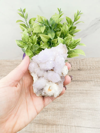 Spirit (Cactus) Quartz Specimens – Unique Natural Crystal Clusters for Spiritual Growth and Healing