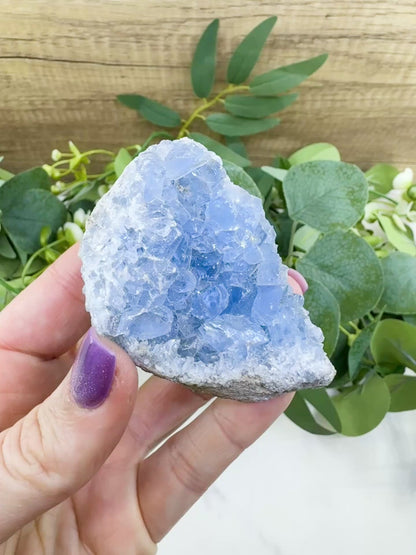 Raw Celestite Cluster No. 11 – Sky Blue Geode Specimen for High Vibration & Inner Peace