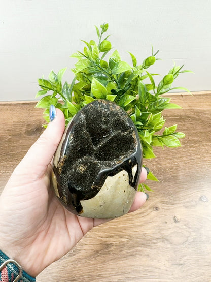 Septarian Dragon Egg Freeform