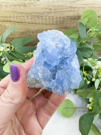 Raw Celestite Cluster No. 3 – Sky Blue Geode Specimen for High Vibration & Inner Peace