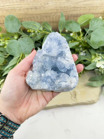 Celestite Geode Druzy Crystal Egg No. 3 – 4.5" × 3.4" × 1.7" | 776 g Sky‑Blue Specimen