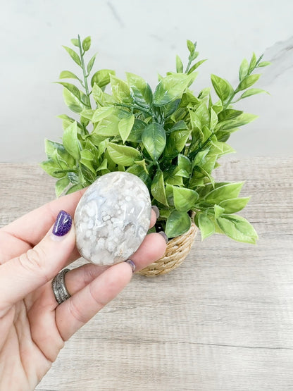 Flower Agate Palm Stone – Crystal for Growth, Transformation, and Emotional Healing