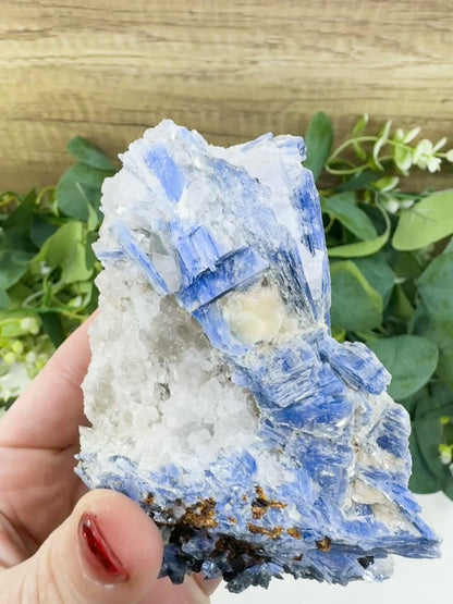 Large Blue Kyanite & Quartz Cluster (520g) – Raw Bladed Crystal Specimen for Energy Alignment