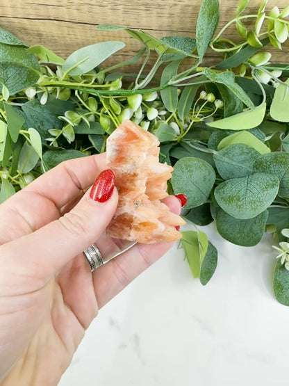 Tangerine Dogtooth Calcite Point No. 1 (2.2oz) – Natural Wolftooth Crystal for Creativity & Vitality