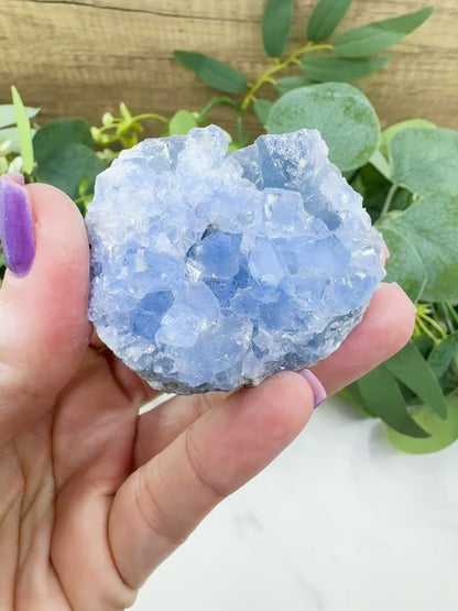 Raw Celestite Cluster No. 8 – Sky Blue Geode Specimen for High Vibration & Inner Peace