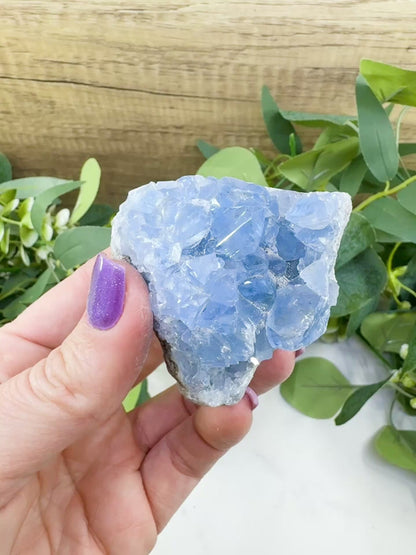 Raw Celestite Cluster No. 5 – Sky Blue Geode Specimen for High Vibration & Inner Peace
