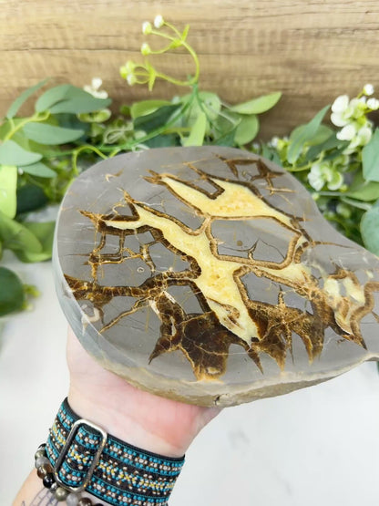 Utah Septarian "Dragon Stone" Geode Slice No. 5 (3lbs) – 9" Polished Local Specimen for Grounding & Protection