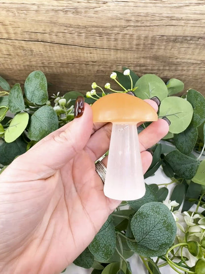 Orange and White Selenite Mushroom (5oz) – 2.9" Two-Tone Satin Spar Carving for Sacral & Crown Chakra Balance