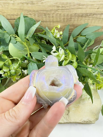 Aura Druzy Agate Turtle – 2.5" Crystal Carving for Peace, Transformation & Protective Energy