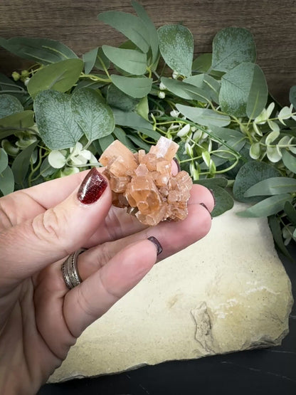 Moroccan Aragonite Starburst Specimen – 44 g Petite Star Cluster
