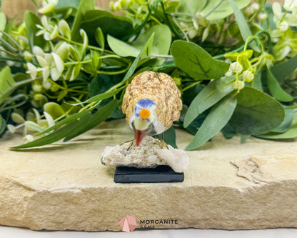 Quail Multi‑Stone Carving No. 2 – 2.5″ × 4.2″ × 2.4″ | 6 oz Hand‑Carved Figurine - Metaphysical Crystals