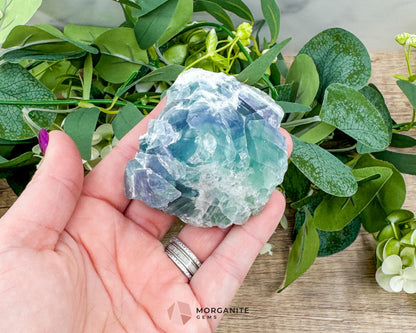 Rainbow Fluorite Half Rough Cut Base Polished Point – Clarity & Energy Balance - Metaphysical Crystals