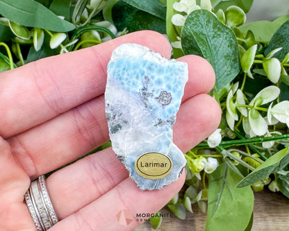 Raw Larimar with One Polished Side No. 5 | Rare Dominican Stone of Atlantis Crystal for Healing & Communication