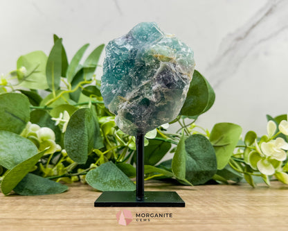 Raw Rainbow Fluorite on Metal Stand – Natural Crystal for Clarity & Energy - Metaphysical Crystals