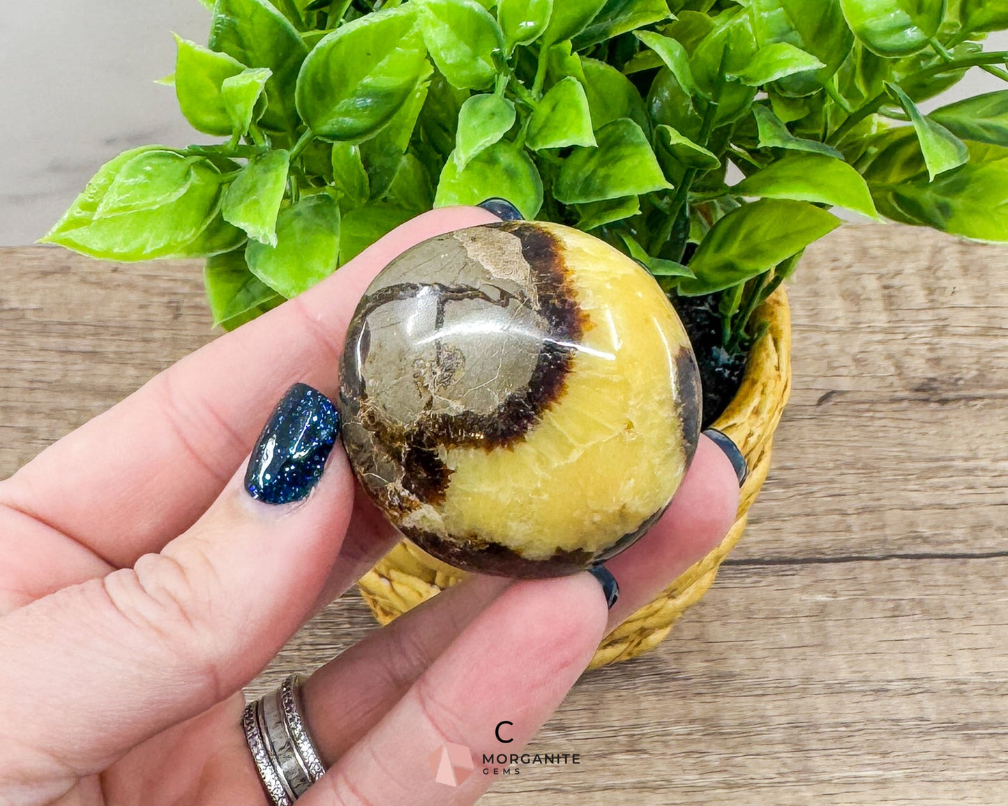 Septarian Calcite Nodule Palm Stone – Dragon Stone for Energy and Grounding-Morganite Gems