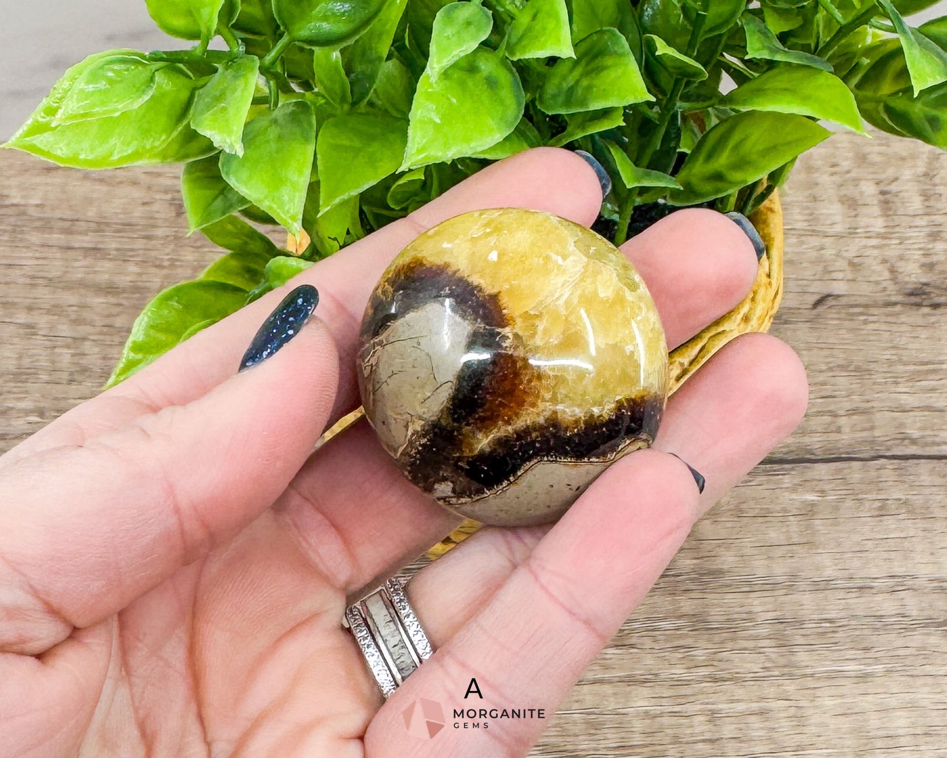 Septarian Calcite Nodule Palm Stone – Dragon Stone for Energy and Grounding-Morganite Gems