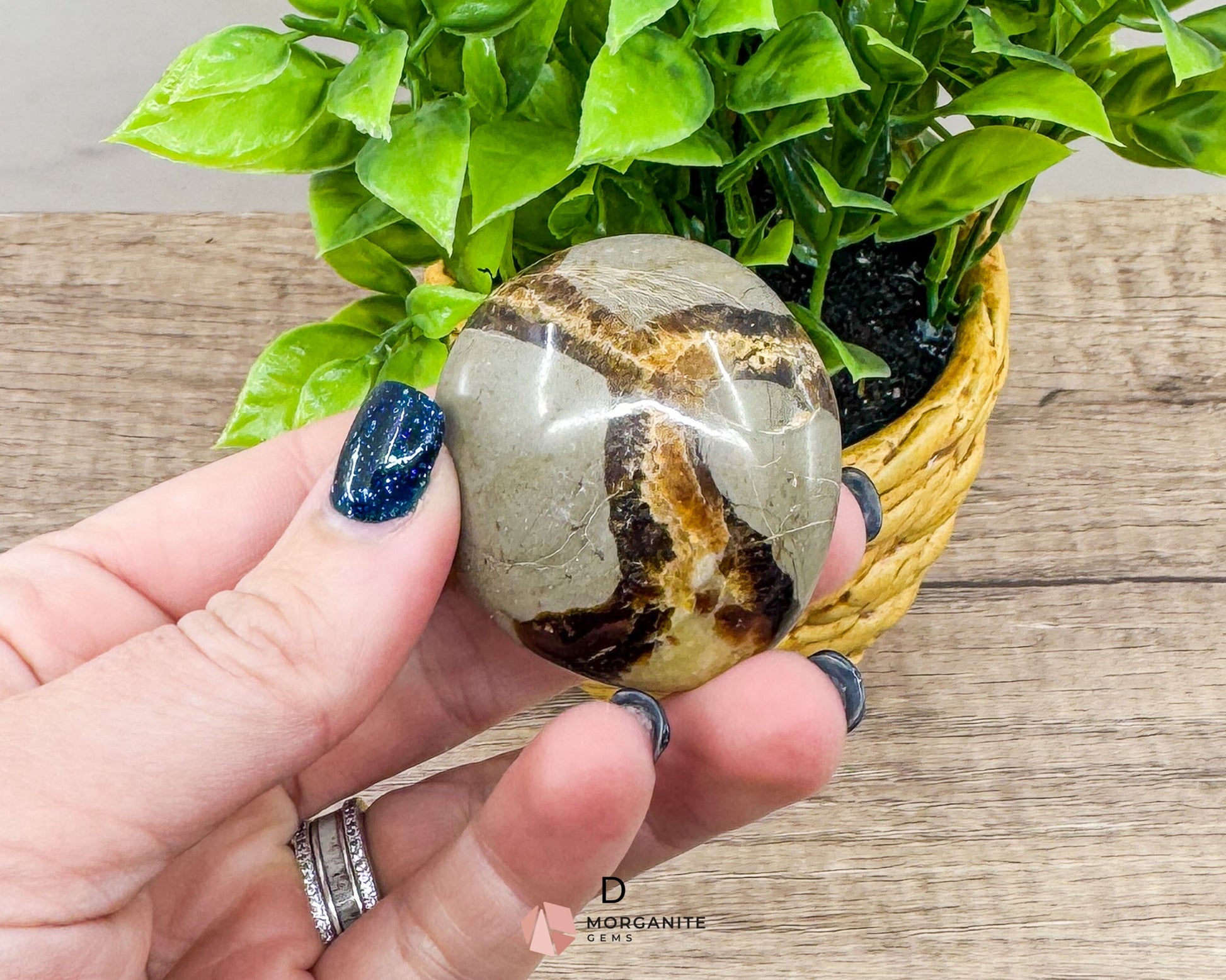 Septarian Calcite Nodule Palm Stone – Dragon Stone for Energy and Grounding-Morganite Gems