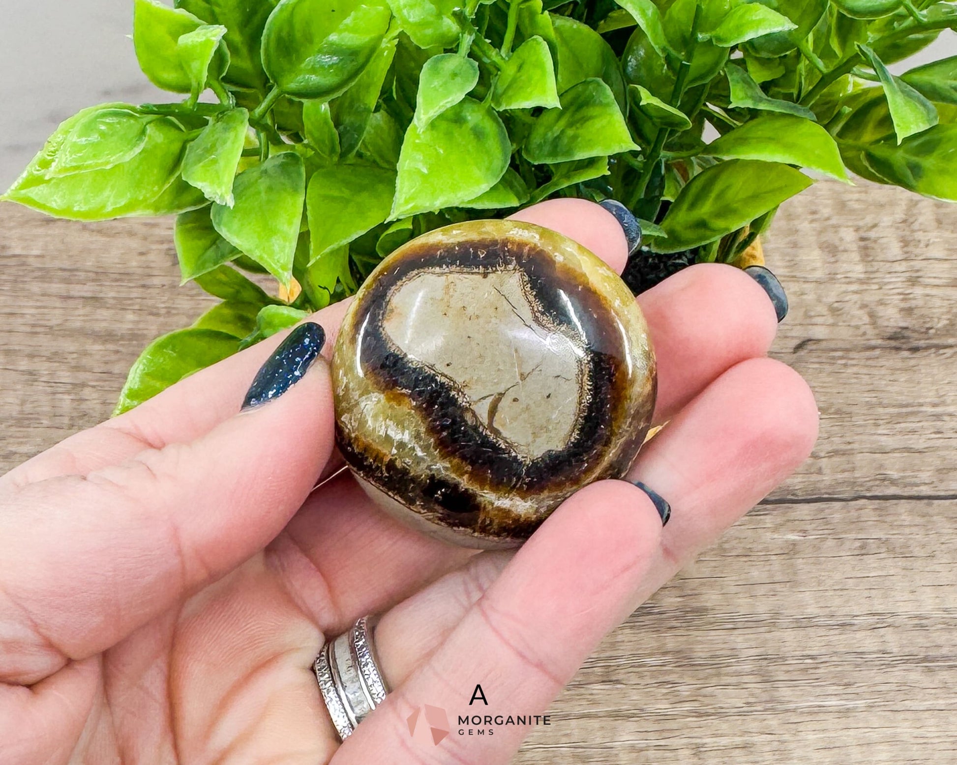 Septarian Calcite Nodule Palm Stone – Dragon Stone for Energy and Grounding-Morganite Gems