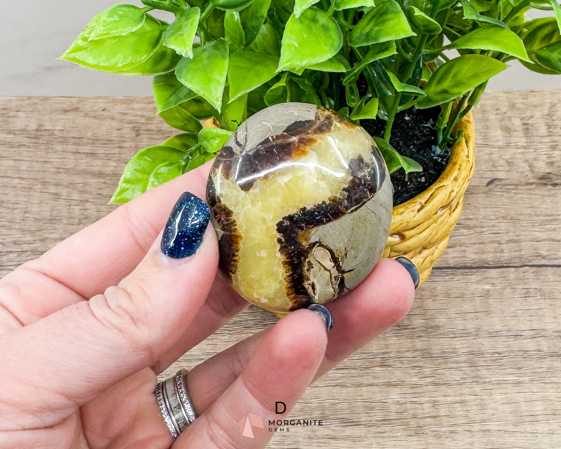 Septarian Calcite Nodule Palm Stone – Dragon Stone for Energy and Grounding-Morganite Gems