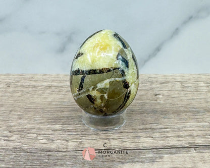 Septarian Dragon Egg (Brown Aragonite) – 4 Unique 2.5 Inch Eggs with Stand, 200g-250g-Morganite Gems