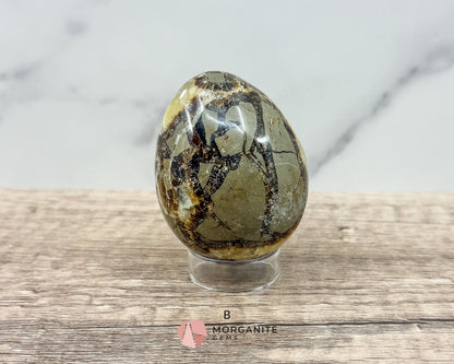 Septarian Dragon Egg (Brown Aragonite) – 4 Unique 2.5 Inch Eggs with Stand, 200g-250g-Morganite Gems