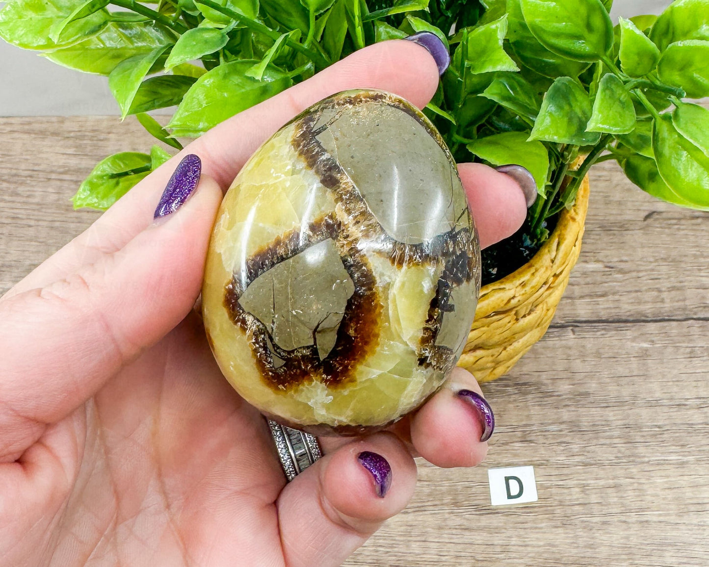 Septarian Dragon Egg (Brown Aragonite) – 4 Unique 2.5 Inch Eggs with Stand, 200g-250g-Morganite Gems