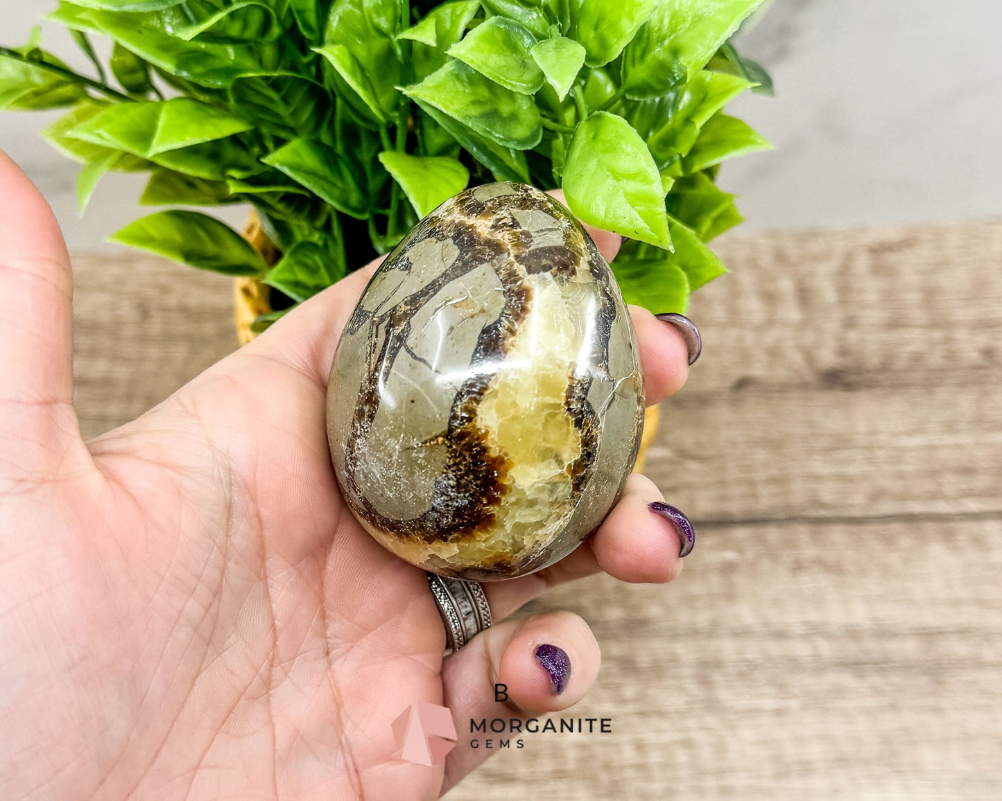 Septarian Dragon Egg (Brown Aragonite) – 4 Unique 2.5 Inch Eggs with Stand, 200g-250g-Morganite Gems