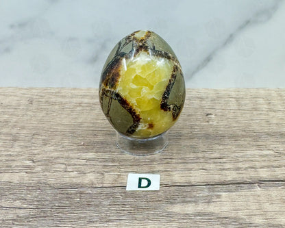 Septarian Dragon Egg (Brown Aragonite) – 4 Unique 2.5 Inch Eggs with Stand, 200g-250g-Morganite Gems