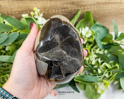 Septarian Dragon Egg Druzy Geode No. 1 – 4.2’’ × 3.3’’ × 3.1’’ | 1.83 lb Unique Crystal Specimen - Metaphysical Crystals
