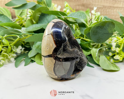 Septarian Dragon Egg Druzy Geode No. 1 – 4.2’’ × 3.3’’ × 3.1’’ | 1.83 lb Unique Crystal Specimen - Metaphysical Crystals