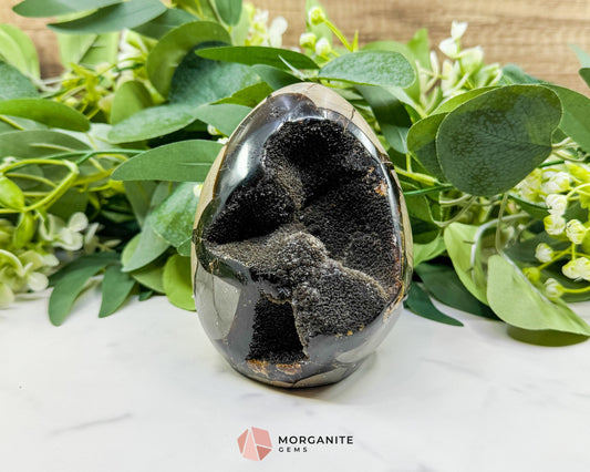 Septarian Dragon Egg Druzy Geode No. 1 – 4.2’’ × 3.3’’ × 3.1’’ | 1.83 lb Unique Crystal Specimen - Metaphysical Crystals