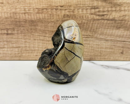 Septarian Dragon Egg Druzy Geode No. 1 – 4.2’’ × 3.3’’ × 3.1’’ | 1.83 lb Unique Crystal Specimen - Metaphysical Crystals