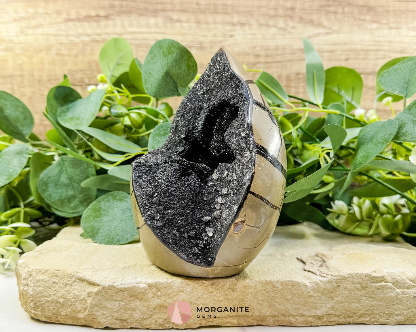 Septarian Dragon Egg Druzy Geode No. 3 – 6″ × 4.5″ × 3″ | 2.84 lb Statement Specimen - Metaphysical Crystals