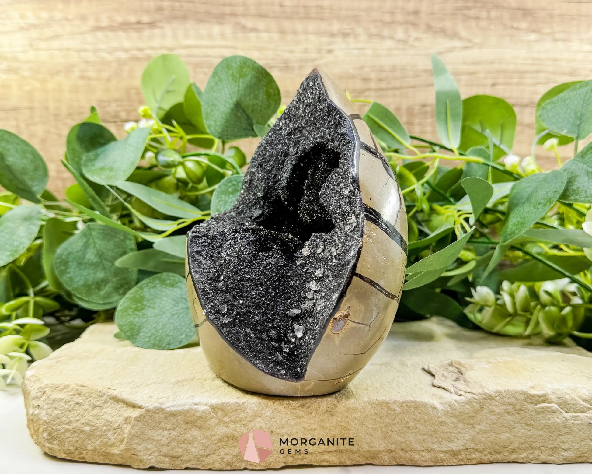 Septarian Dragon Egg Druzy Geode No. 3 – 6″ × 4.5″ × 3″ | 2.84 lb Statement Specimen - Metaphysical Crystals