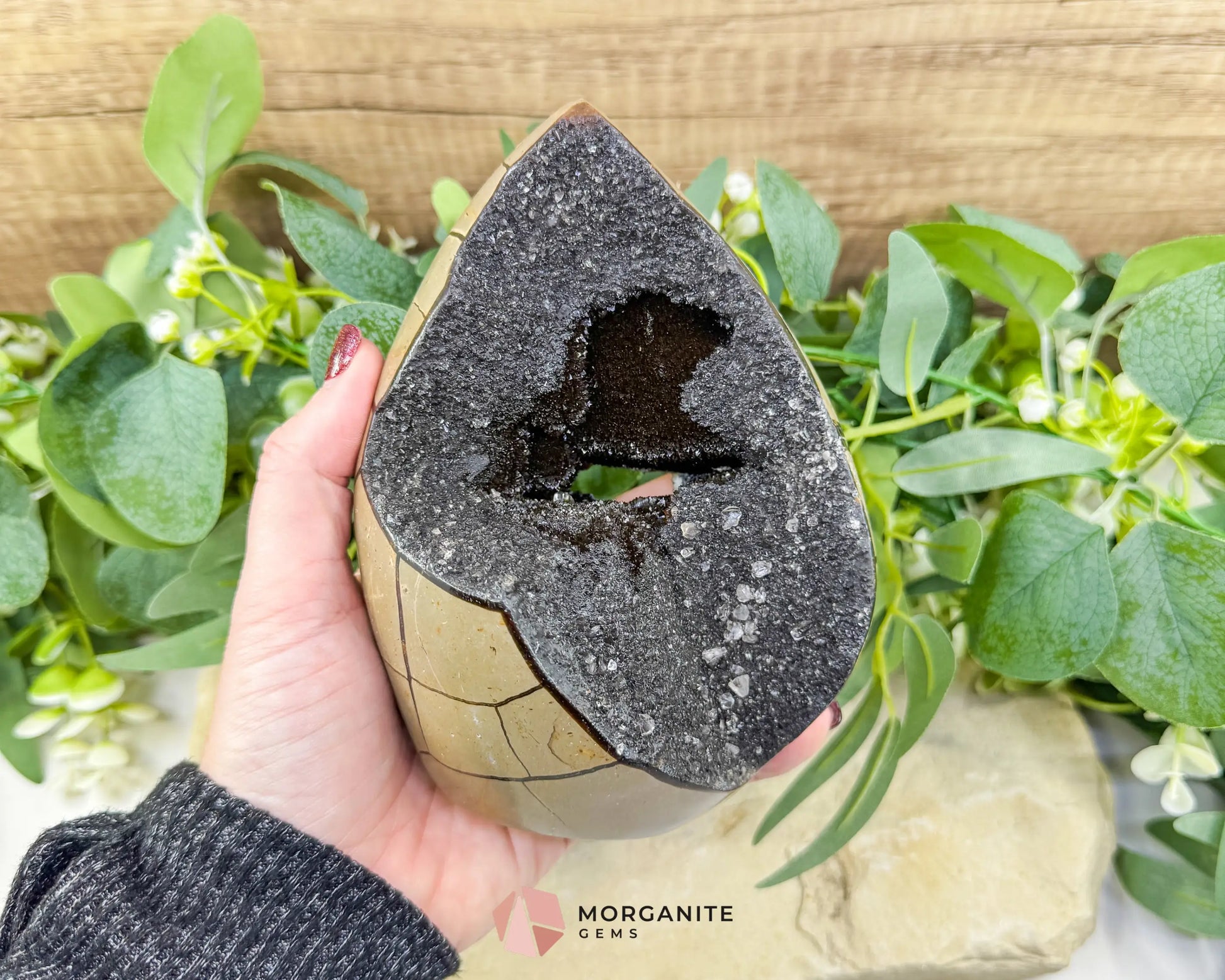 Septarian Dragon Egg Druzy Geode No. 3 – 6″ × 4.5″ × 3″ | 2.84 lb Statement Specimen - Metaphysical Crystals