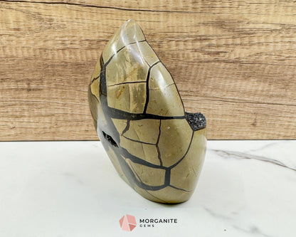 Septarian Dragon Egg Druzy Geode No. 3 – 6″ × 4.5″ × 3″ | 2.84 lb Statement Specimen - Metaphysical Crystals