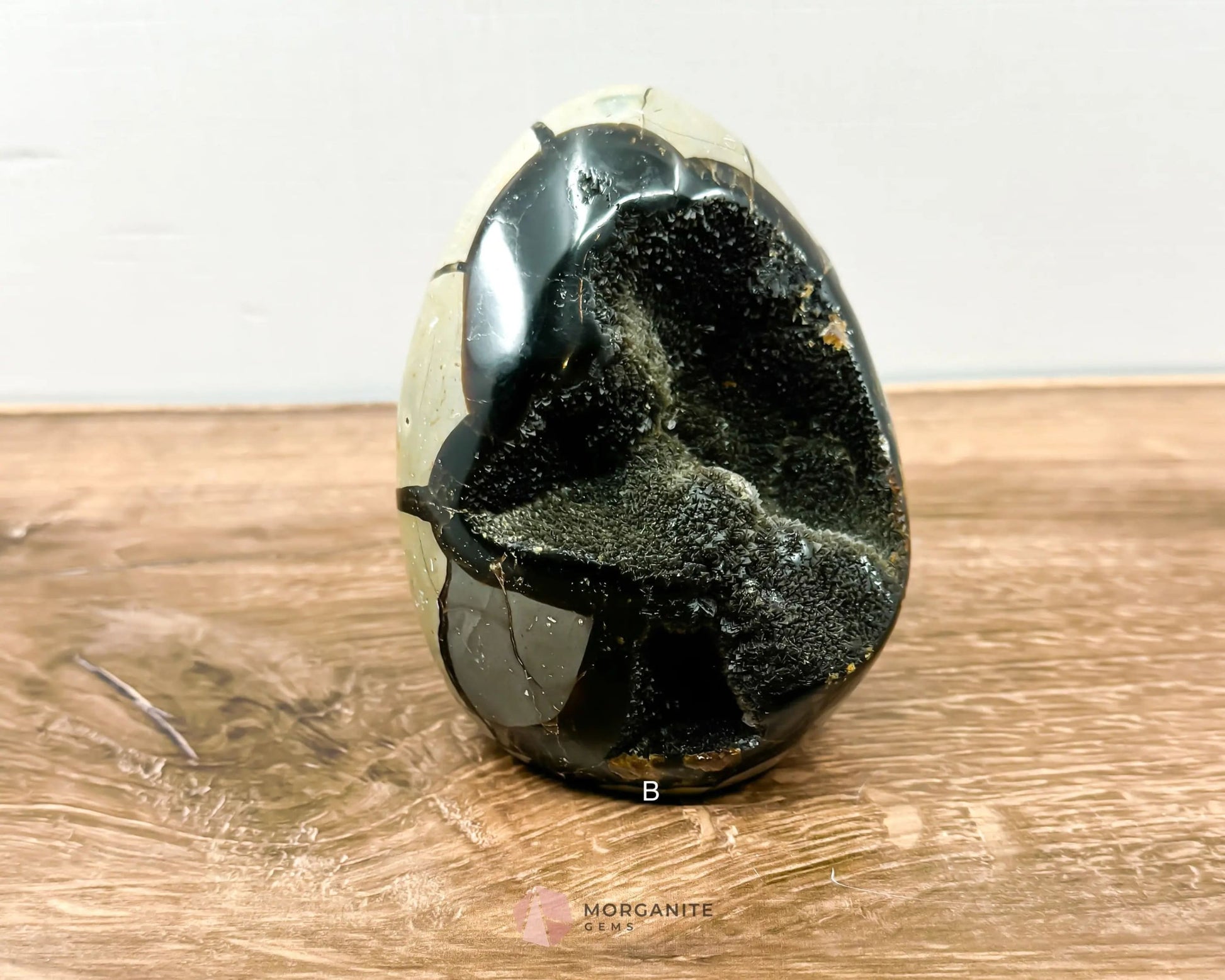 Septarian Dragon Egg Freeform-Morganite Gems