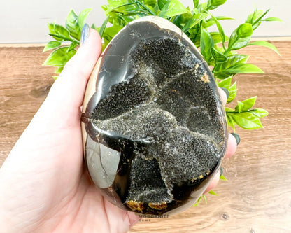 Septarian Dragon Egg Freeform-Morganite Gems