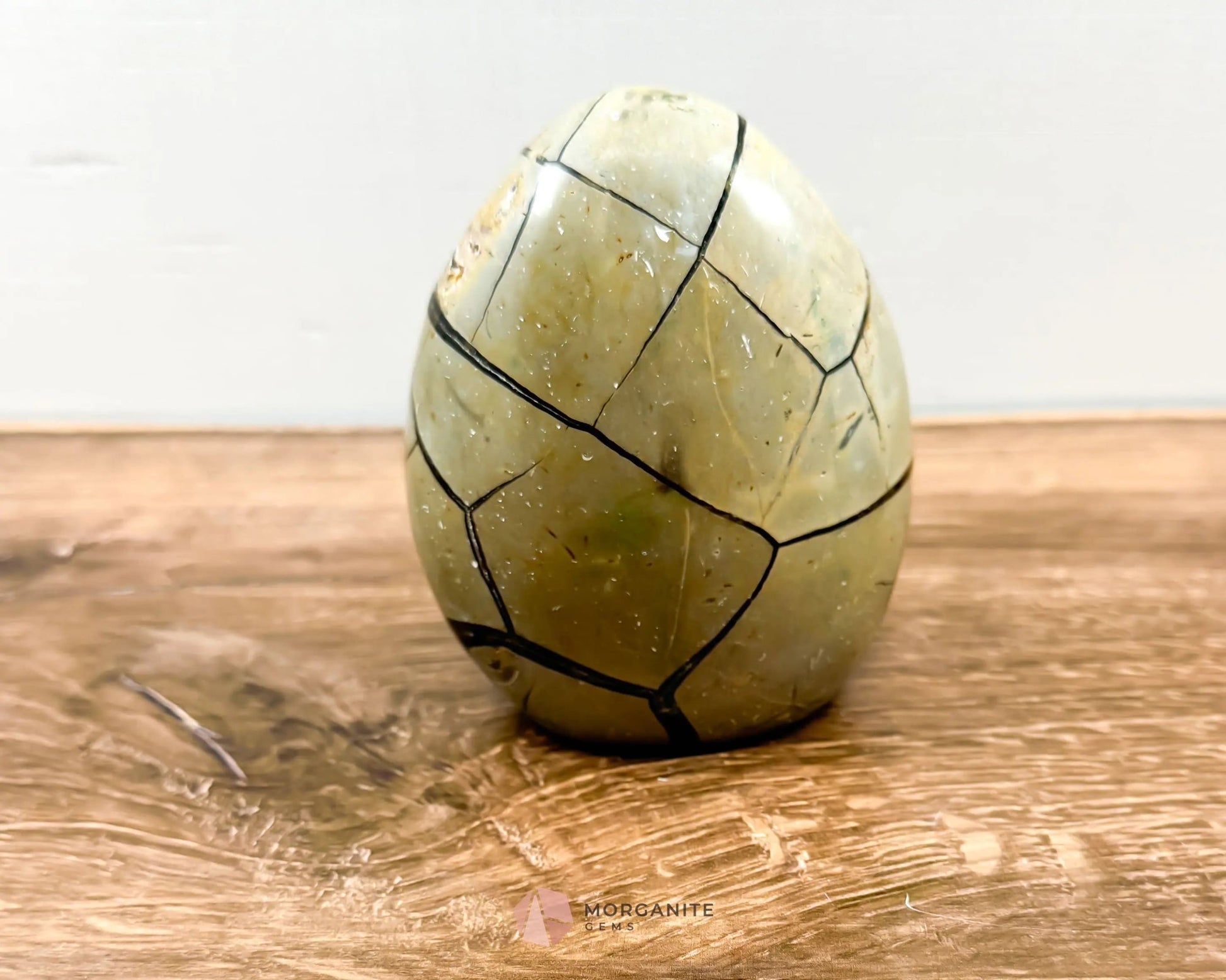 Septarian Dragon Egg Freeform-Morganite Gems