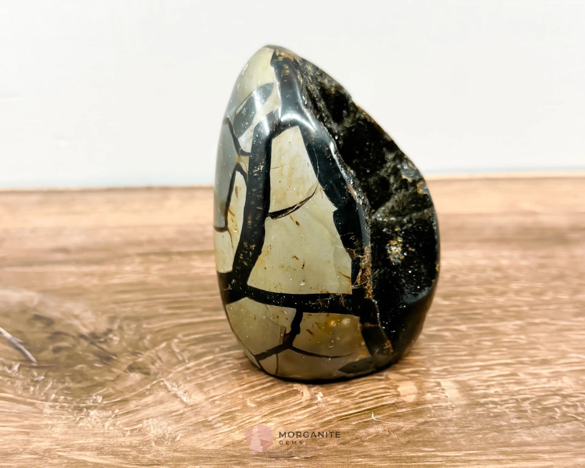 Septarian Dragon Egg Freeform-Morganite Gems