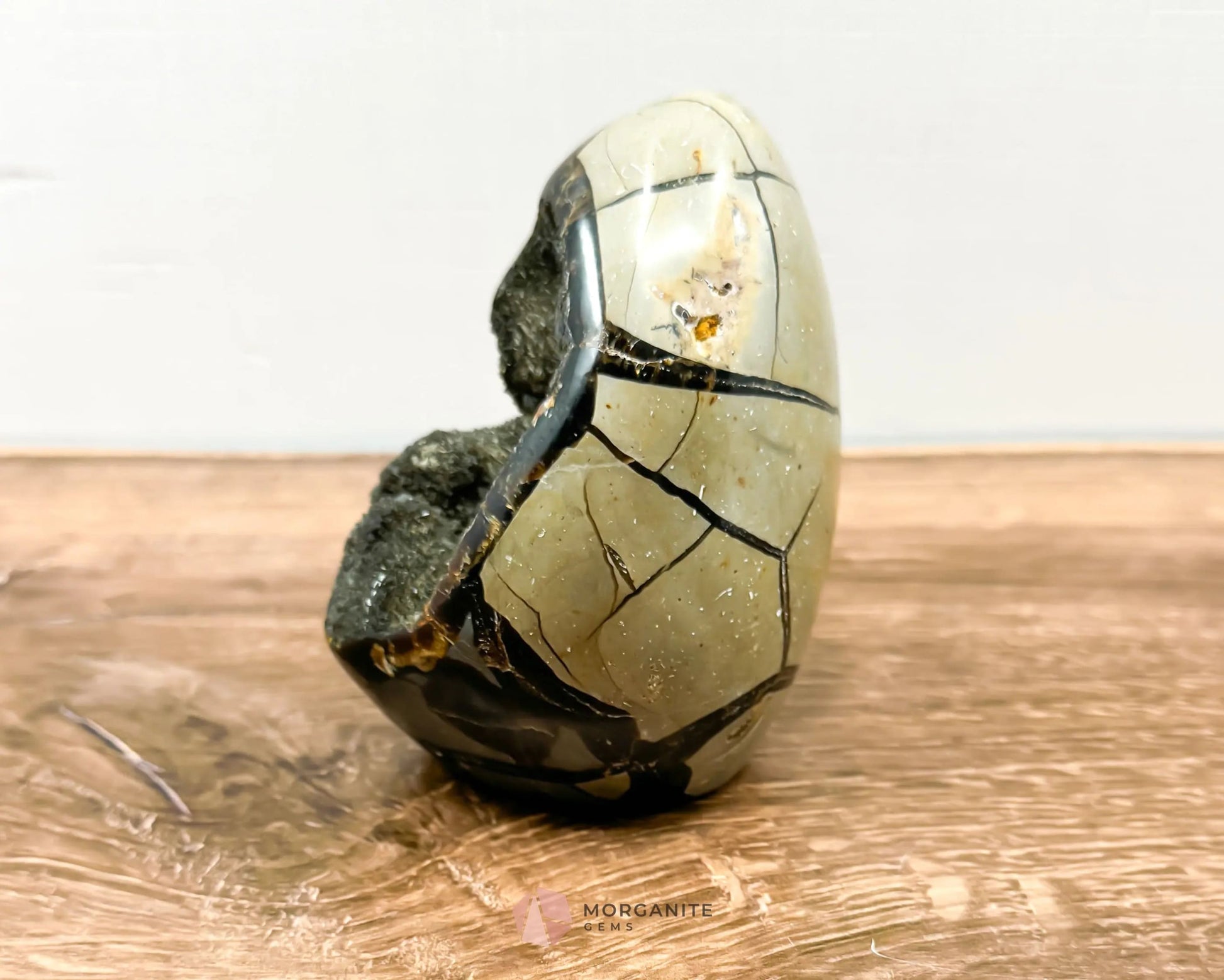 Septarian Dragon Egg Freeform-Morganite Gems