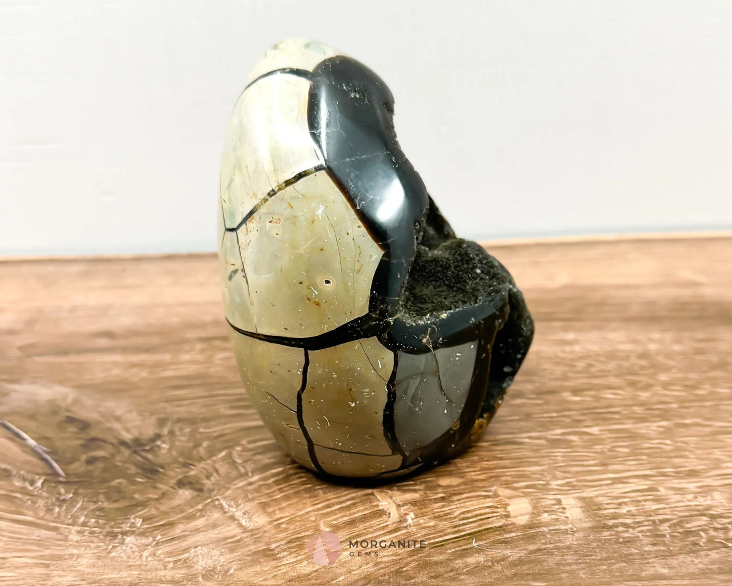 Septarian Dragon Egg Freeform-Morganite Gems