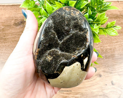 Septarian Dragon Egg Freeform-Morganite Gems