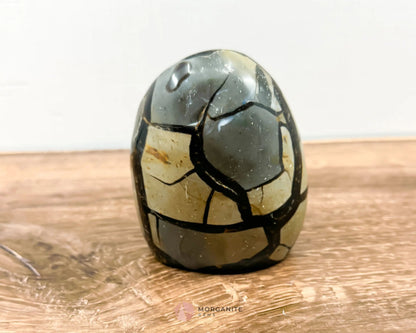 Septarian Dragon Egg Freeform-Morganite Gems