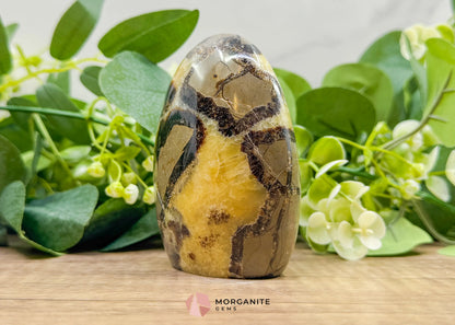 Septarian Dragon Egg Freeform No. 2 – Polished Crystal for Protection Earth Energy & Root Chakra Balance - Metaphysical