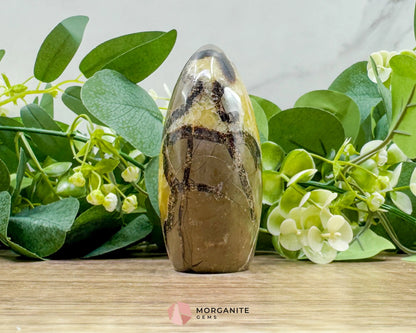 Septarian Dragon Egg Freeform No. 2 – Polished Crystal for Protection Earth Energy & Root Chakra Balance - Metaphysical