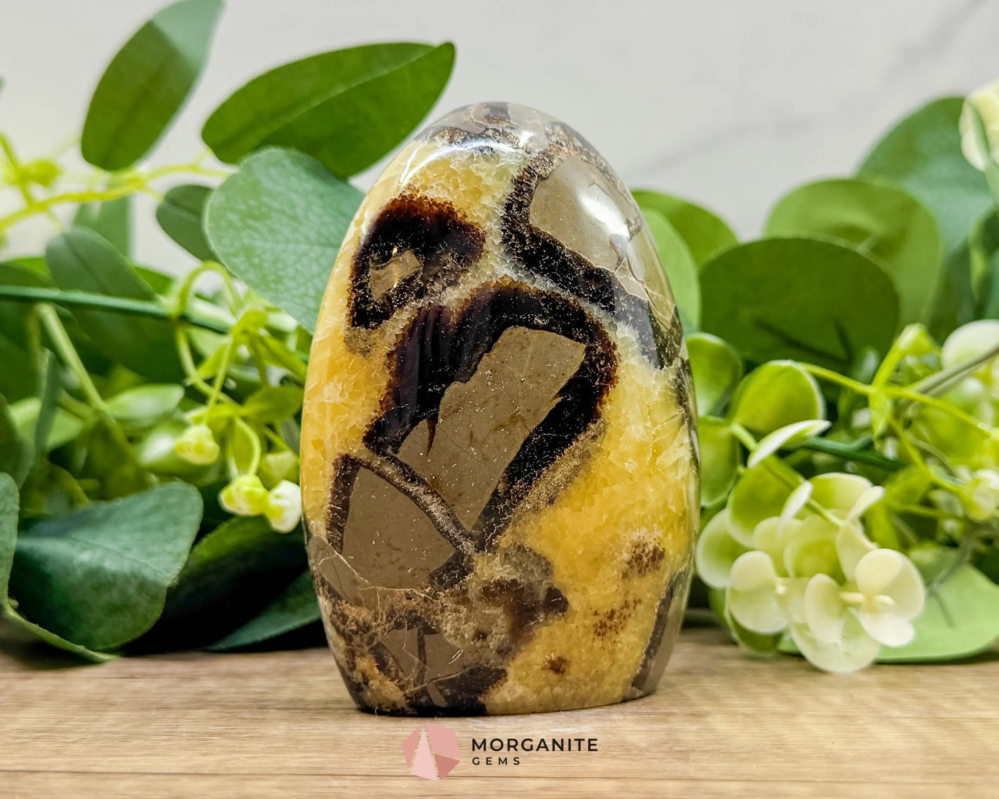 Septarian Dragon Egg Freeform No. 2 – Polished Crystal for Protection Earth Energy & Root Chakra Balance - Metaphysical
