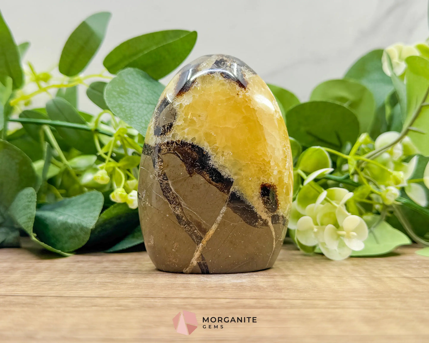 Septarian Dragon Egg Freeform No. 2 – Polished Crystal for Protection Earth Energy & Root Chakra Balance - Metaphysical